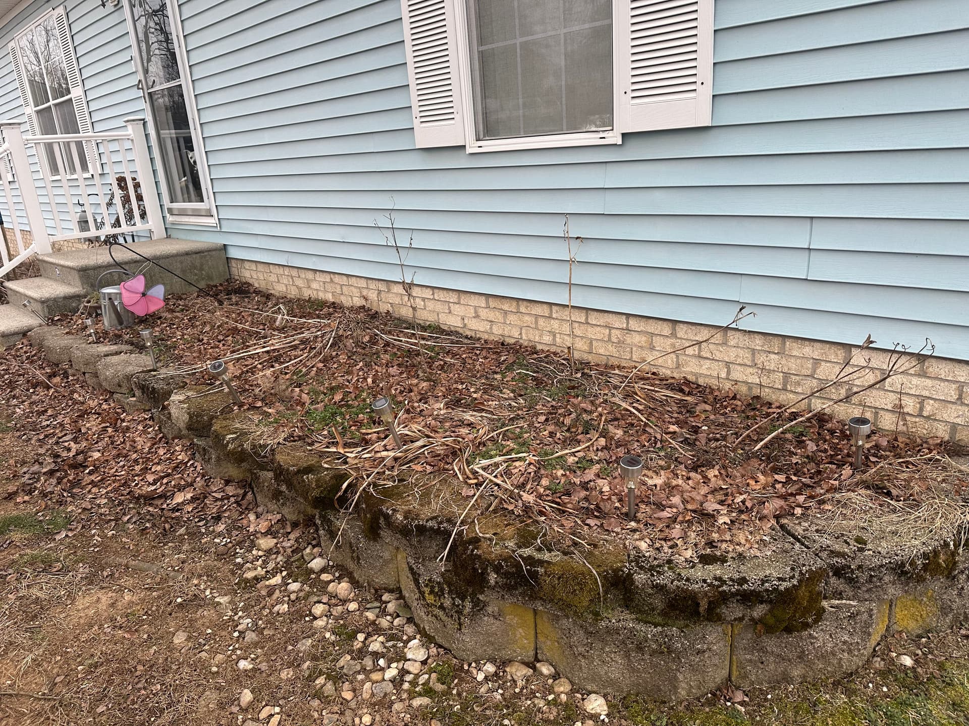 Gallery photos for Overgrown Front Beds Cleaned Up and Fresh Mulch Laid: Image #1
