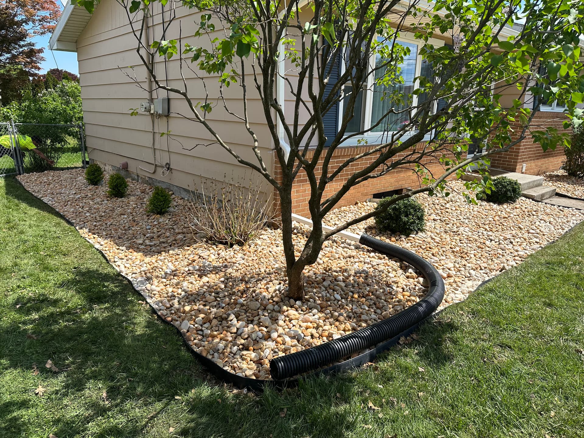 Gallery photos for From Overgrown Mess to Clean Landscape Upgrade: Image #6