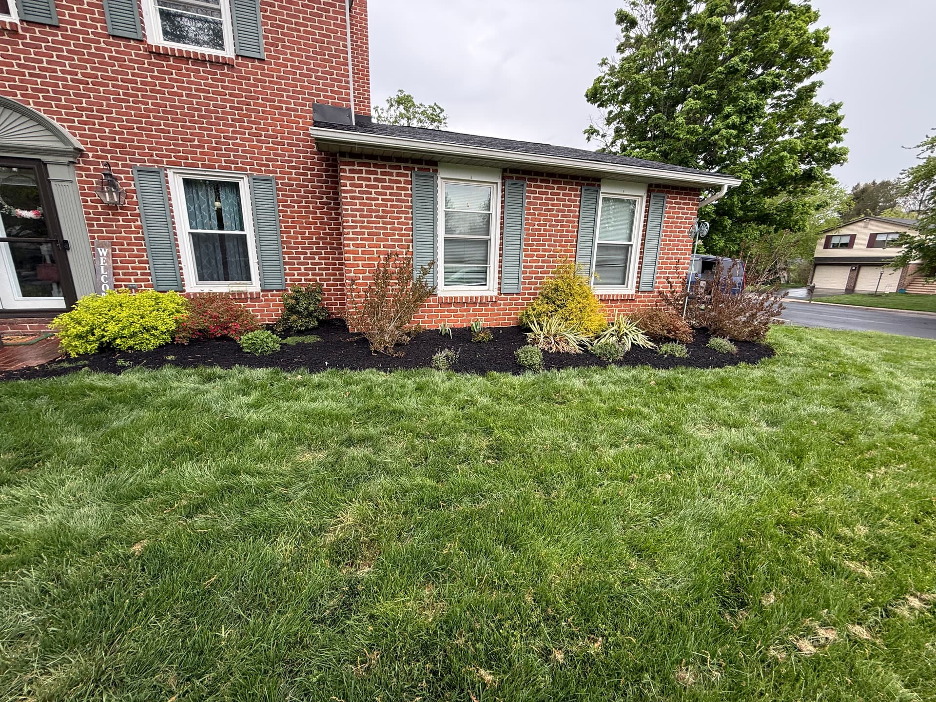Gallery photos for Dark Mulch That Makes Your Whole Yard Pop: Image #4