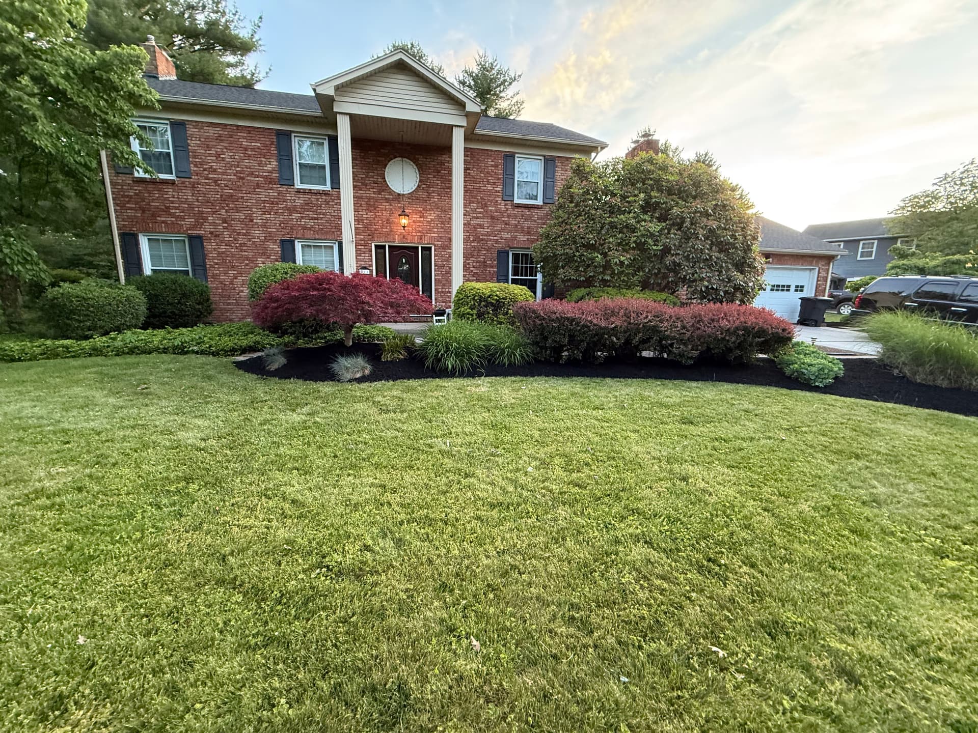 Gallery photos for Black Mulch Refresh That Makes the Whole Yard Look Sharp: Image #6