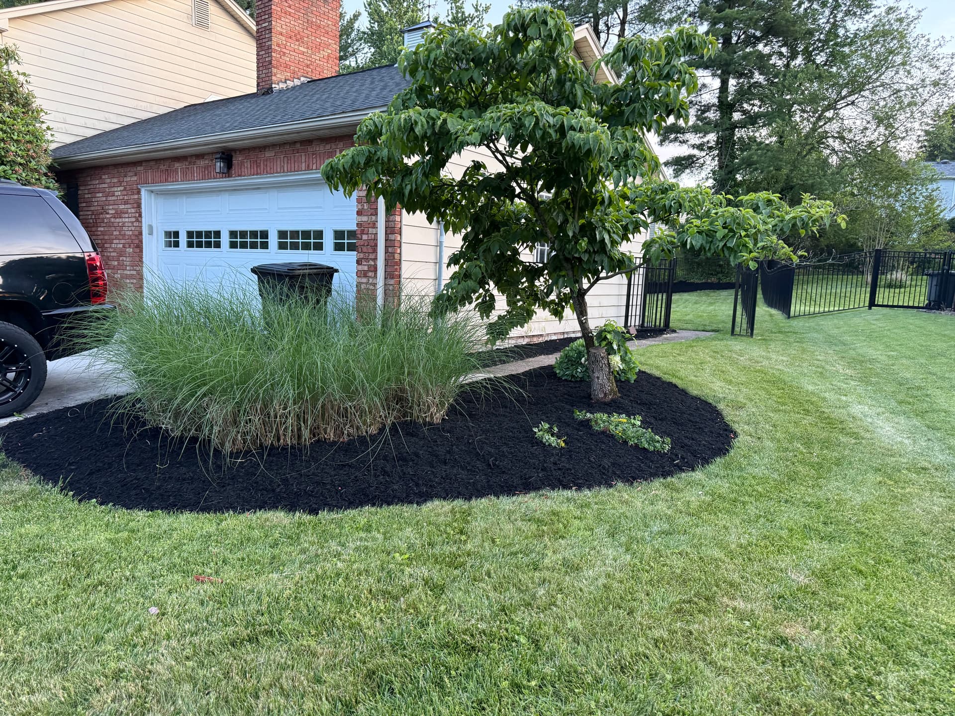Gallery photos for Black Mulch Refresh That Makes the Whole Yard Look Sharp: Image #8