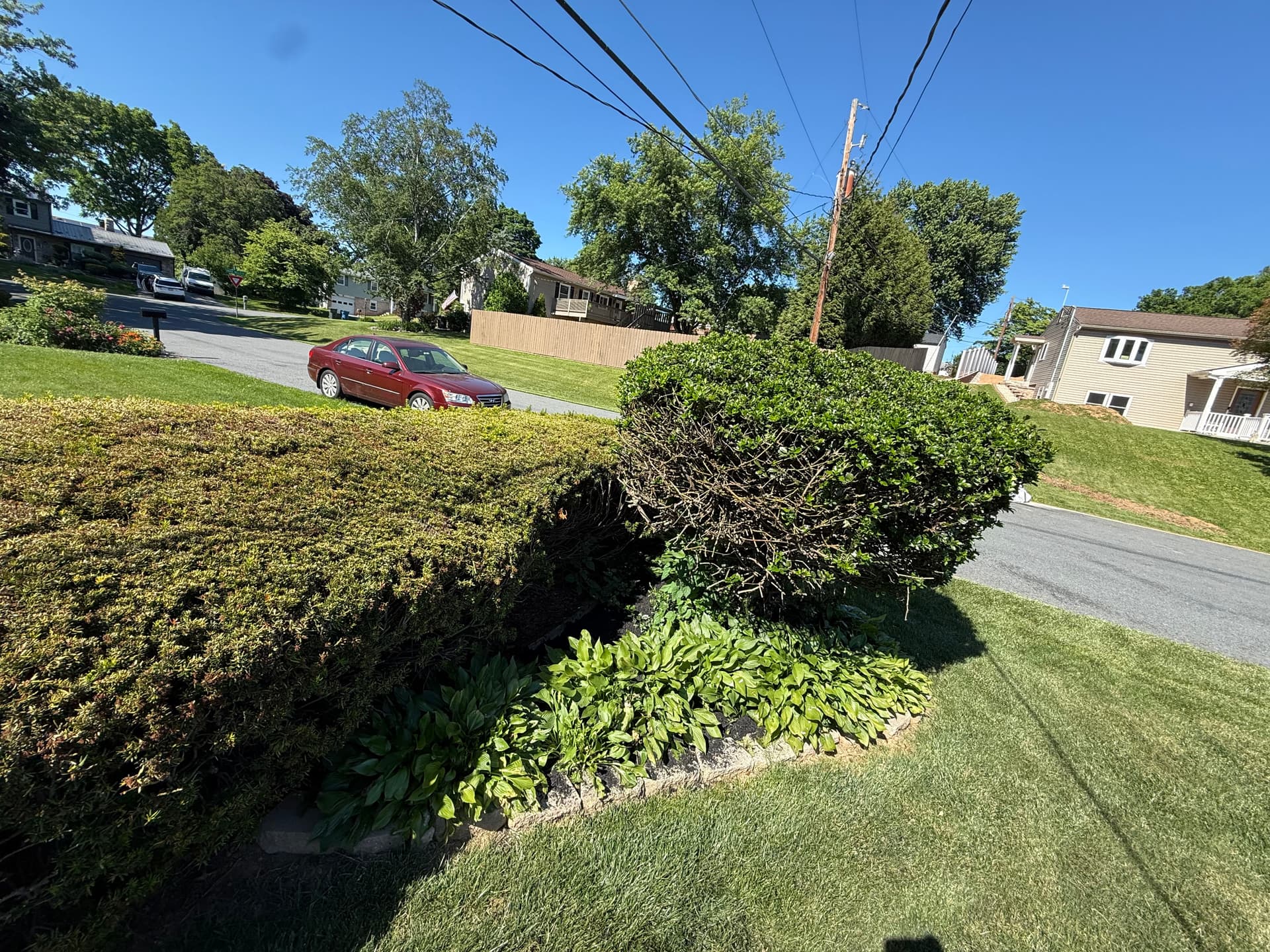 Gallery photos for Fresh Mulch Makes Yard Ornaments and Statues Pop: Image #4