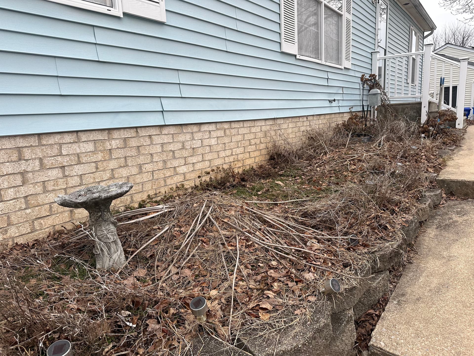 Overgrown Front Beds Cleaned Up and Fresh Mulch Laid image