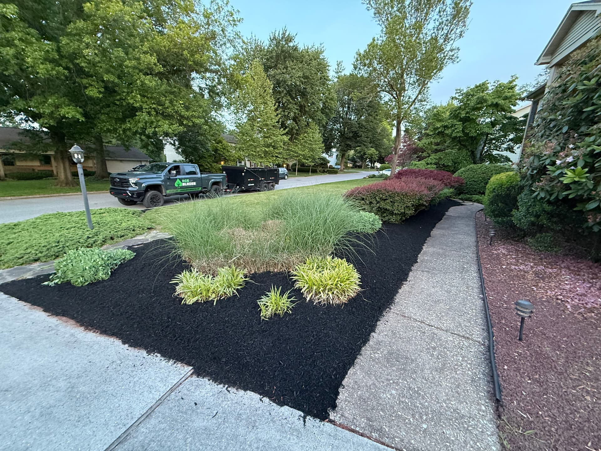 Gallery photos for Black Mulch Refresh That Makes the Whole Yard Look Sharp: Image #2