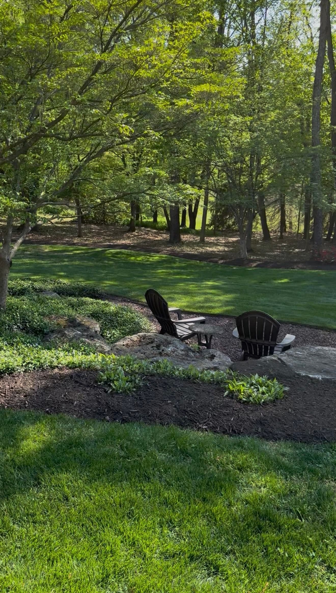 Fresh Mulch and a Yard the Whole Neighborhood Will Notice image
