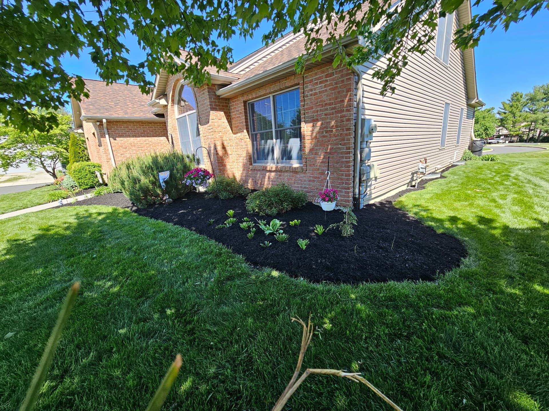 Gallery photos for Fresh Mulch, Clean Edges, Zero Weeds Left Behind: Image #1