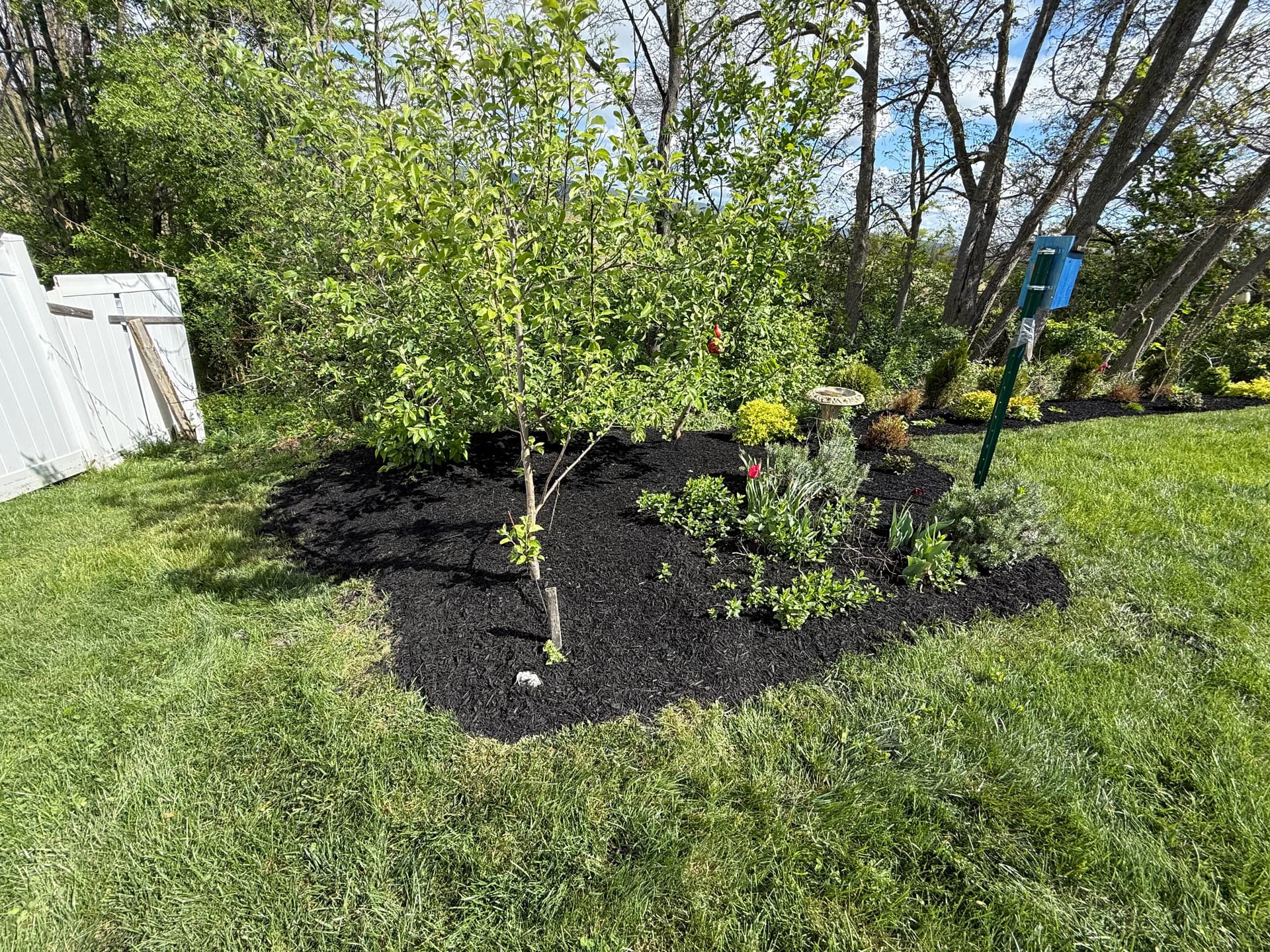 Fresh Mulch and New Plantings That Make Your Yard Feel Complete