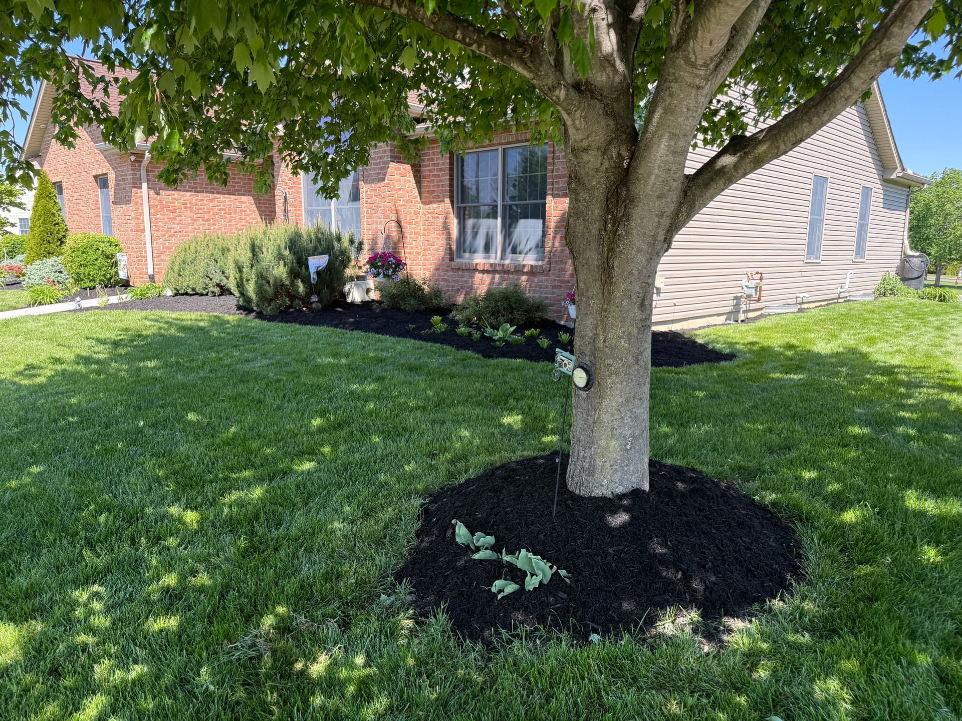 Gallery photos for Fresh Mulch, Clean Edges, Zero Weeds Left Behind: Image #7