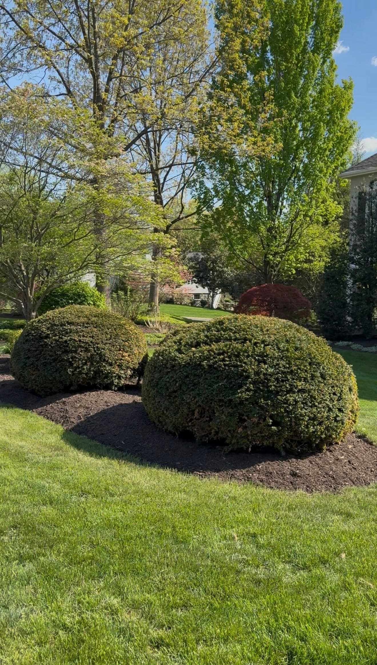 Gallery photos for Fresh Mulch and a Yard the Whole Neighborhood Will Notice: Image #2