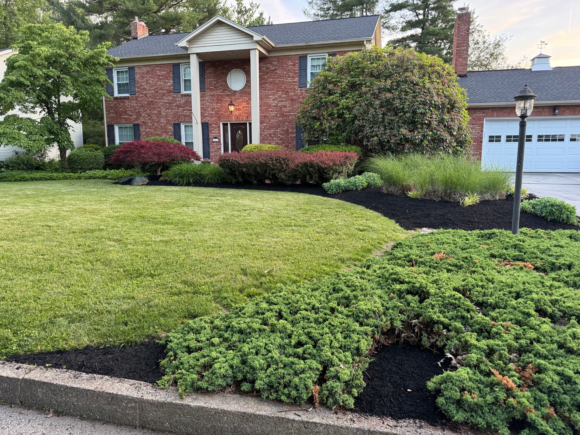 Black Mulch Refresh That Makes the Whole Yard Look Sharp image