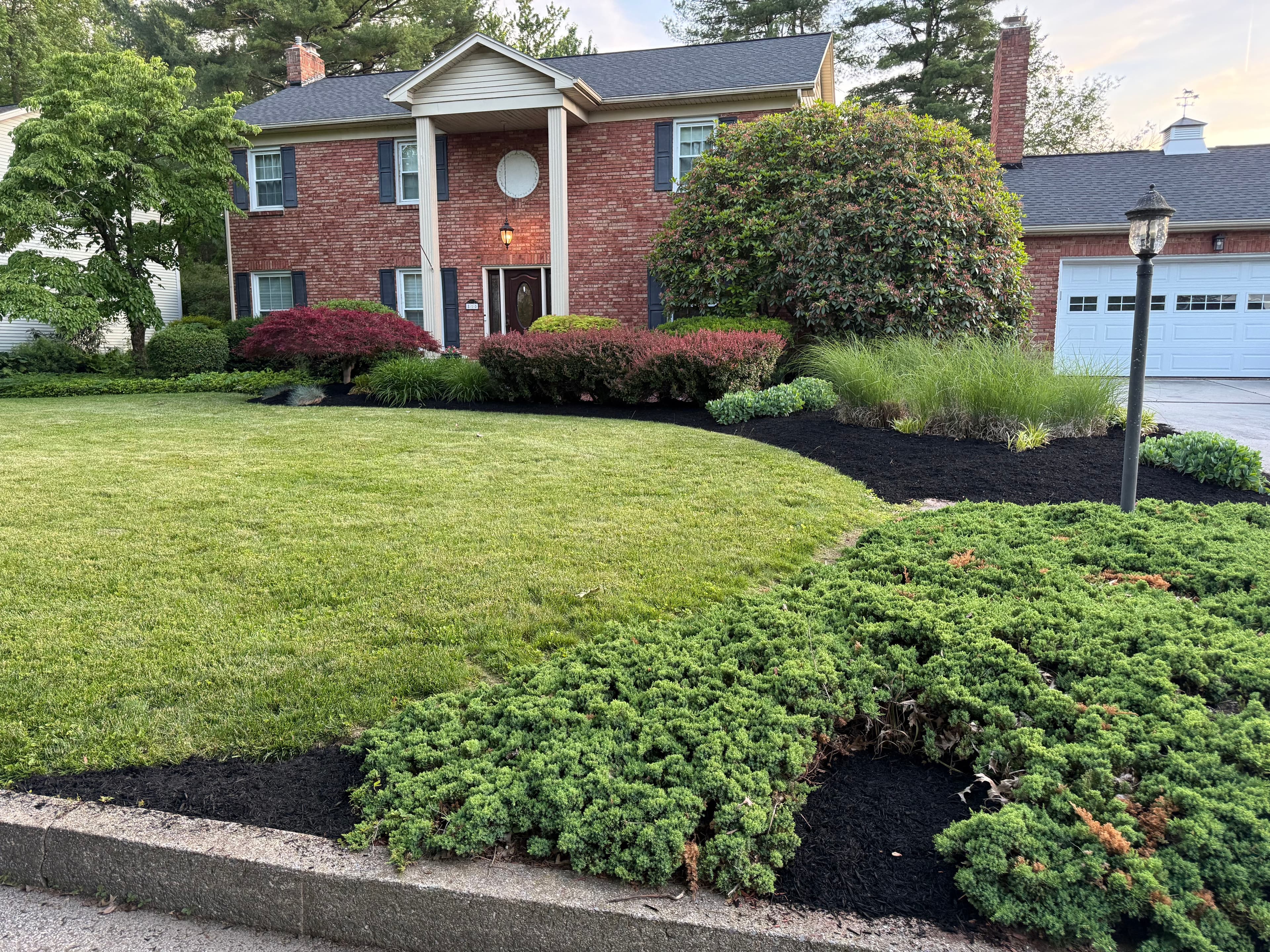 Project Black Mulch Refresh That Makes the Whole Yard Look Sharp image