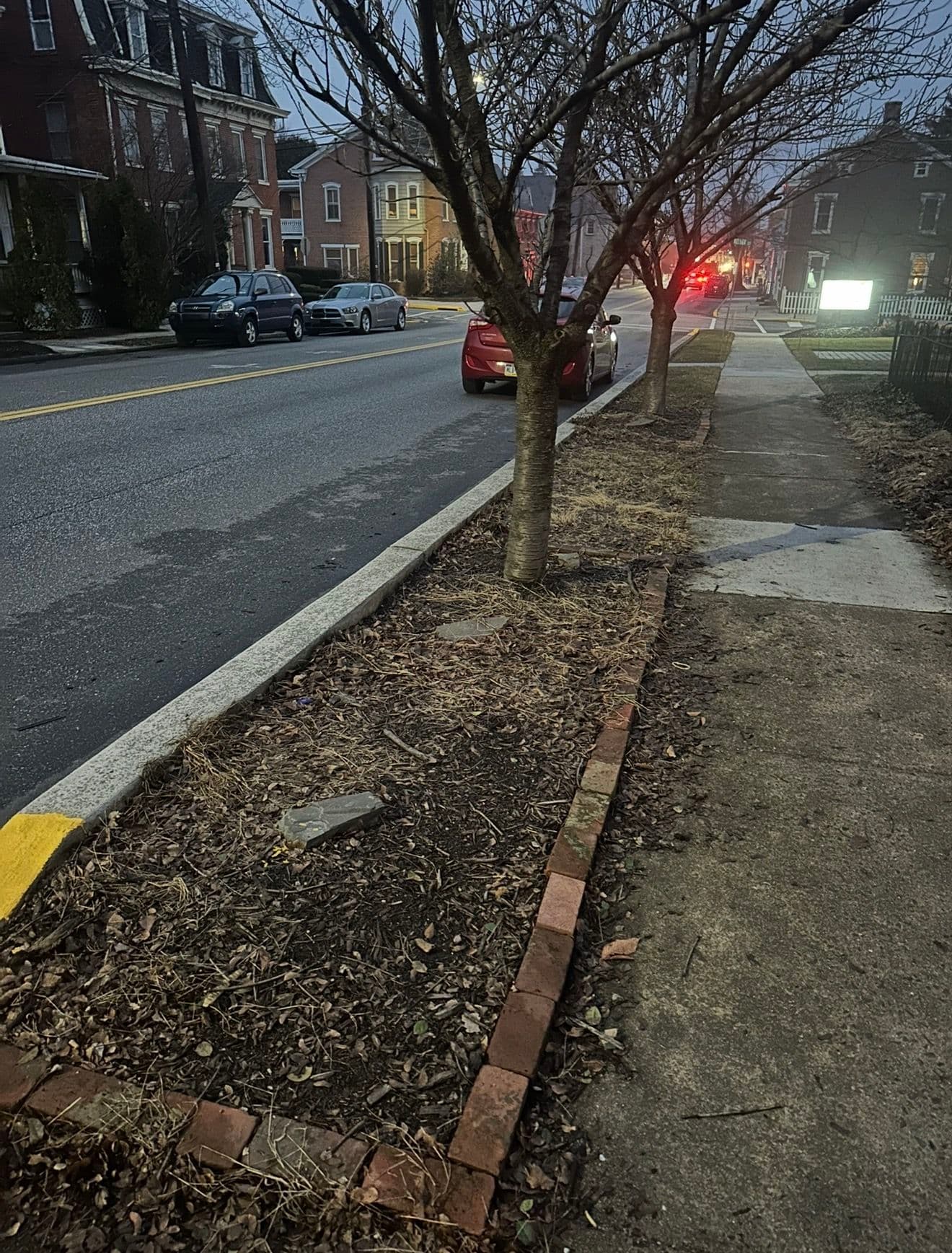 Project Transforming Street-Side Gardens for Curbside Charm image