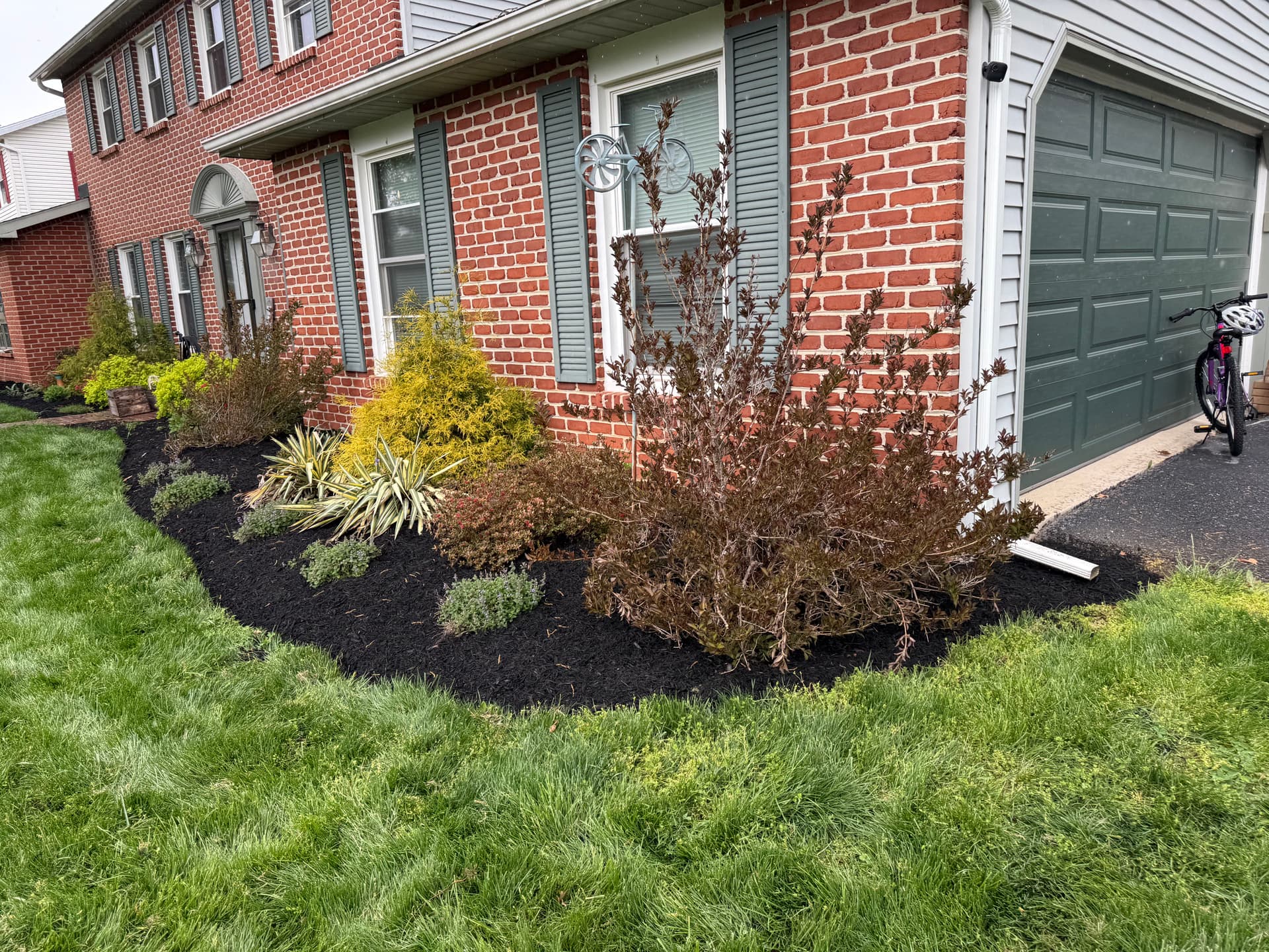 Dark Mulch That Makes Your Whole Yard Pop image