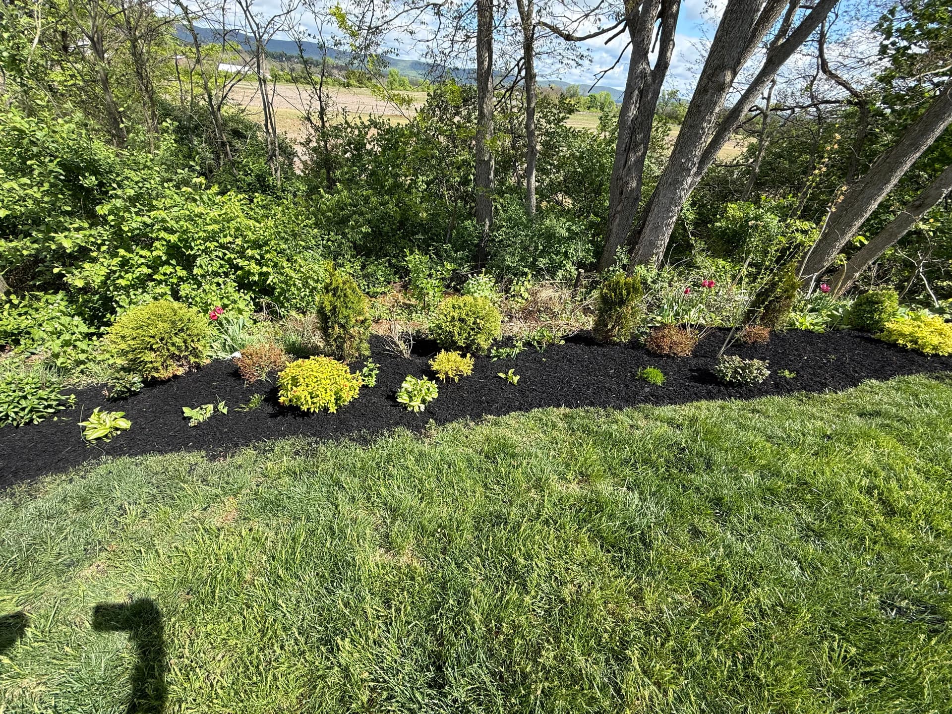 Gallery photos for Fresh Mulch and New Plantings That Make Your Yard Feel Complete: Image #1