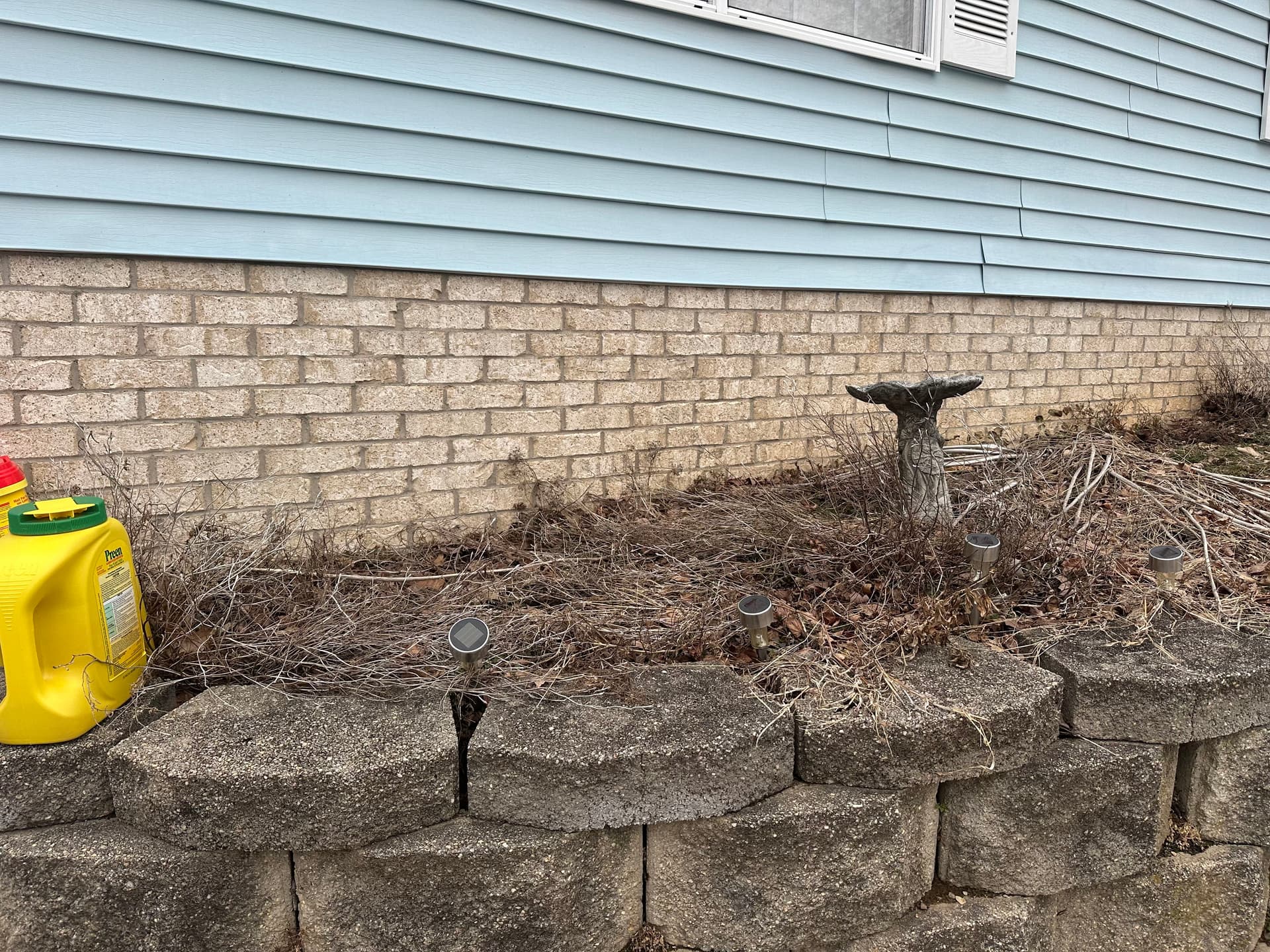 Gallery photos for Overgrown Front Beds Cleaned Up and Fresh Mulch Laid: Image #3