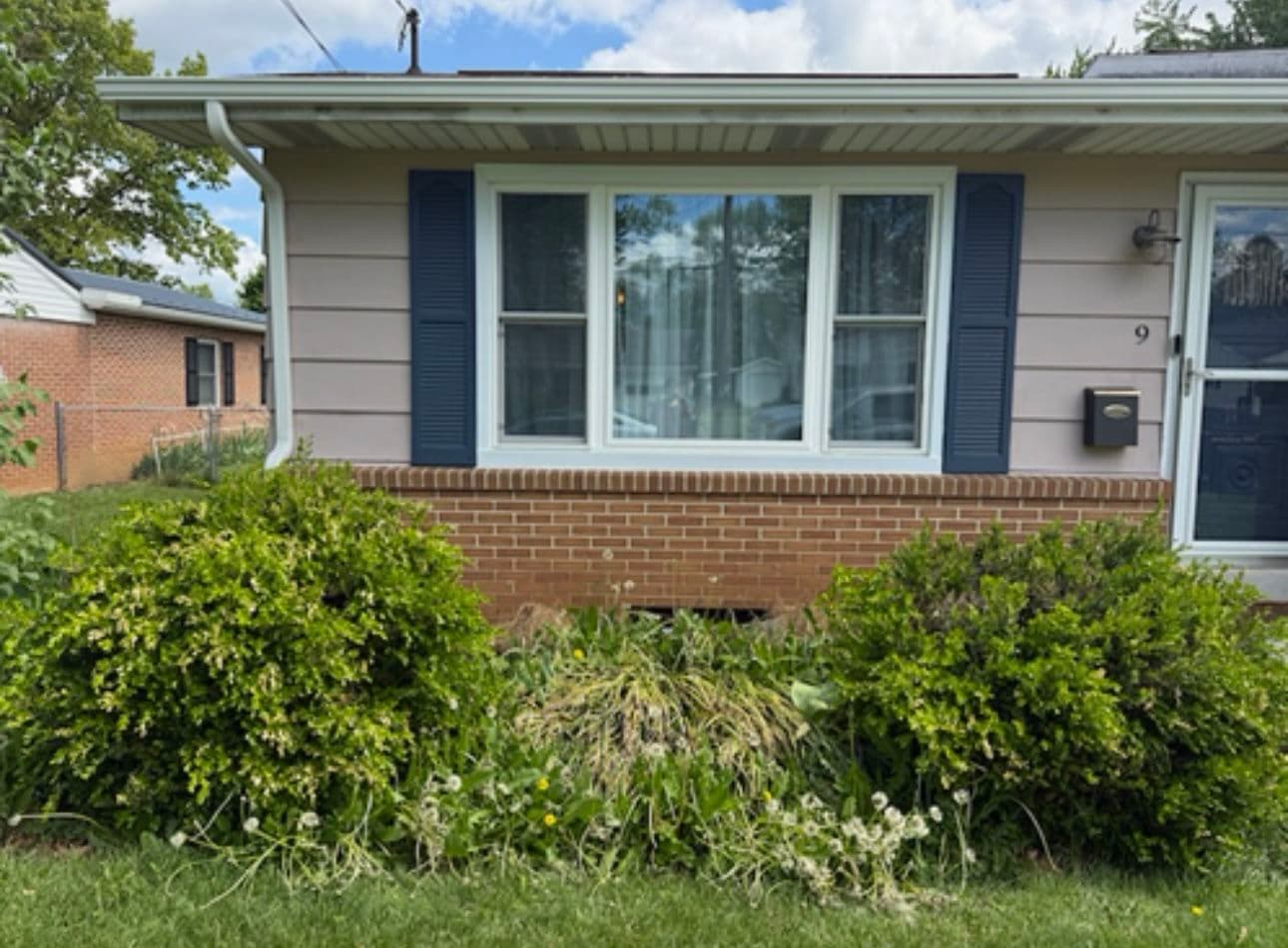 From Overgrown Mess to Clean Landscape Upgrade image