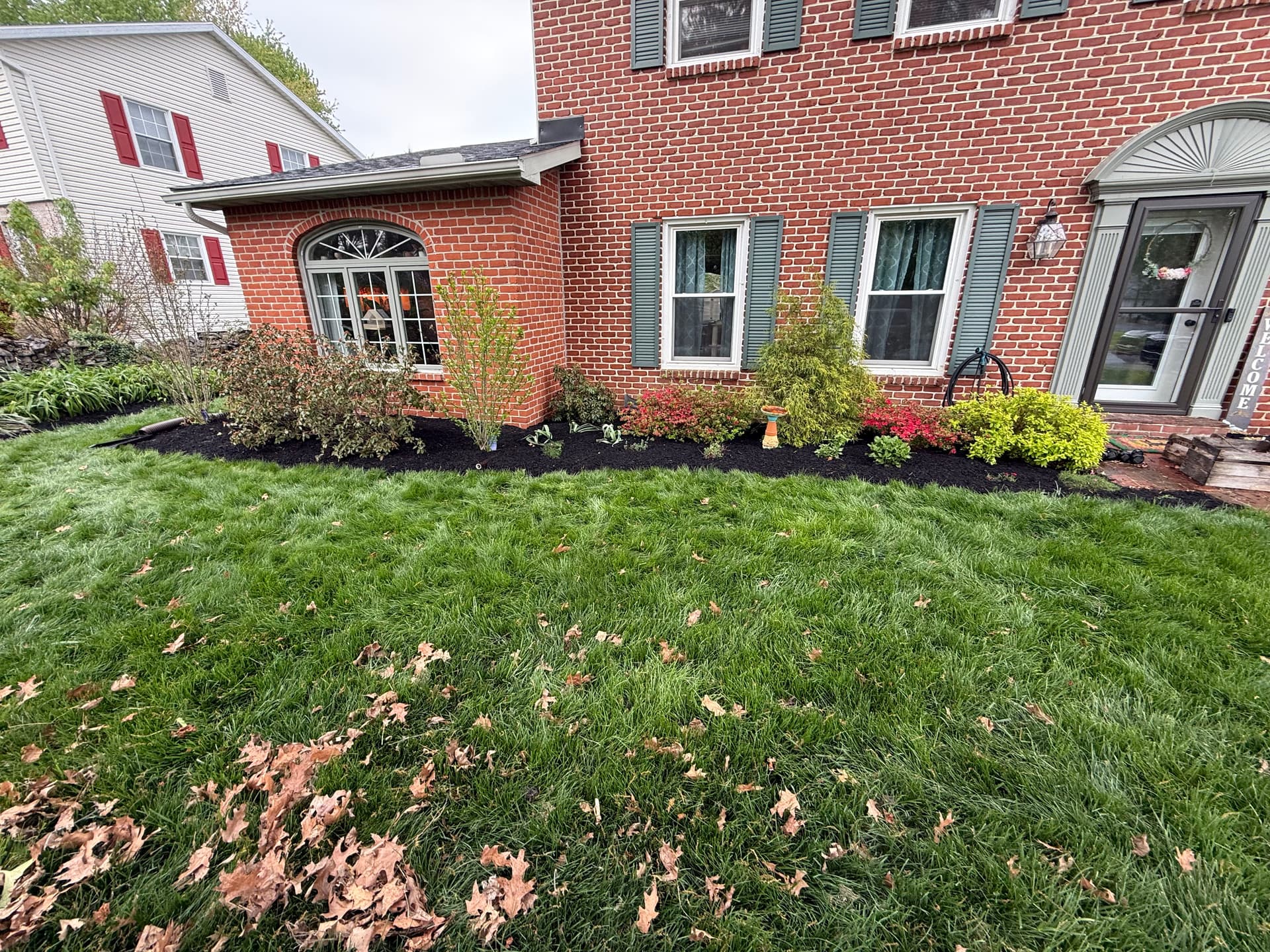 Gallery photos for Dark Mulch That Makes Your Whole Yard Pop: Image #2
