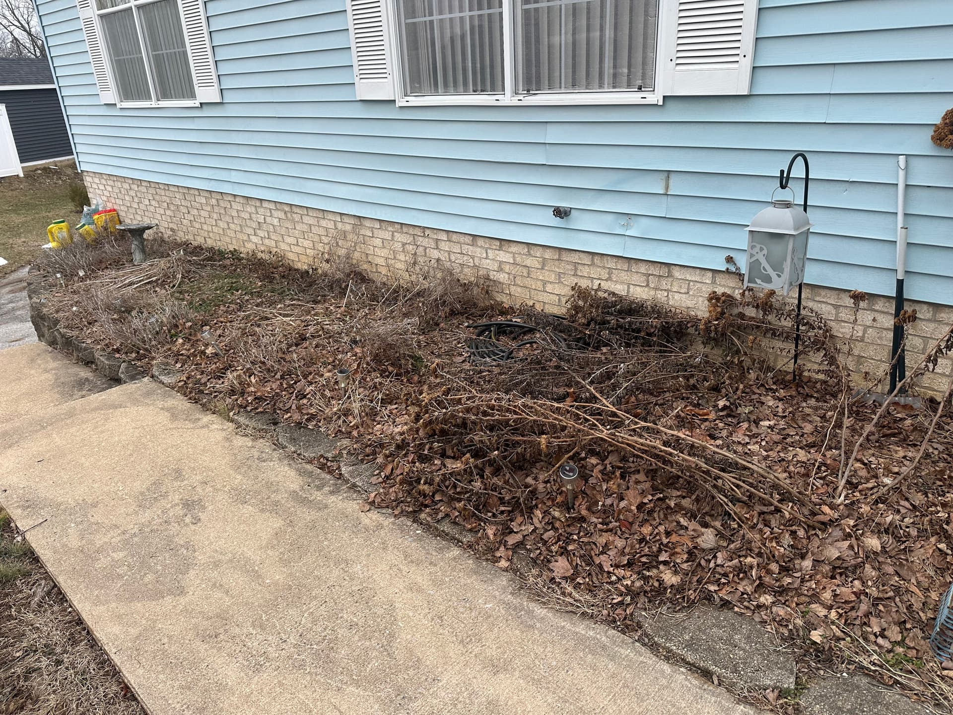 Gallery photos for Overgrown Front Beds Cleaned Up and Fresh Mulch Laid: Image #2