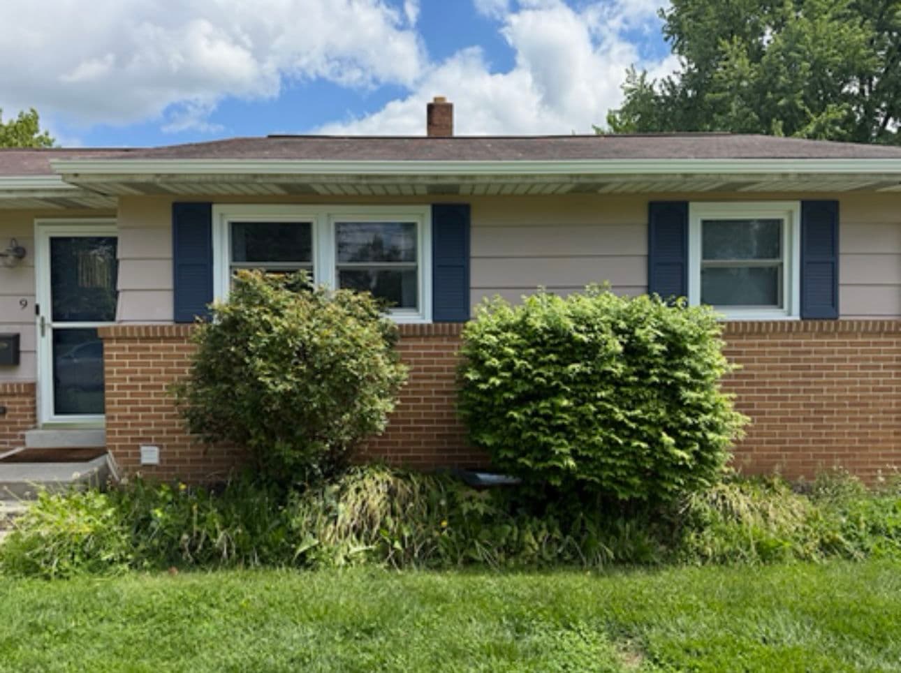 Gallery photos for From Overgrown Mess to Clean Landscape Upgrade: Image #1