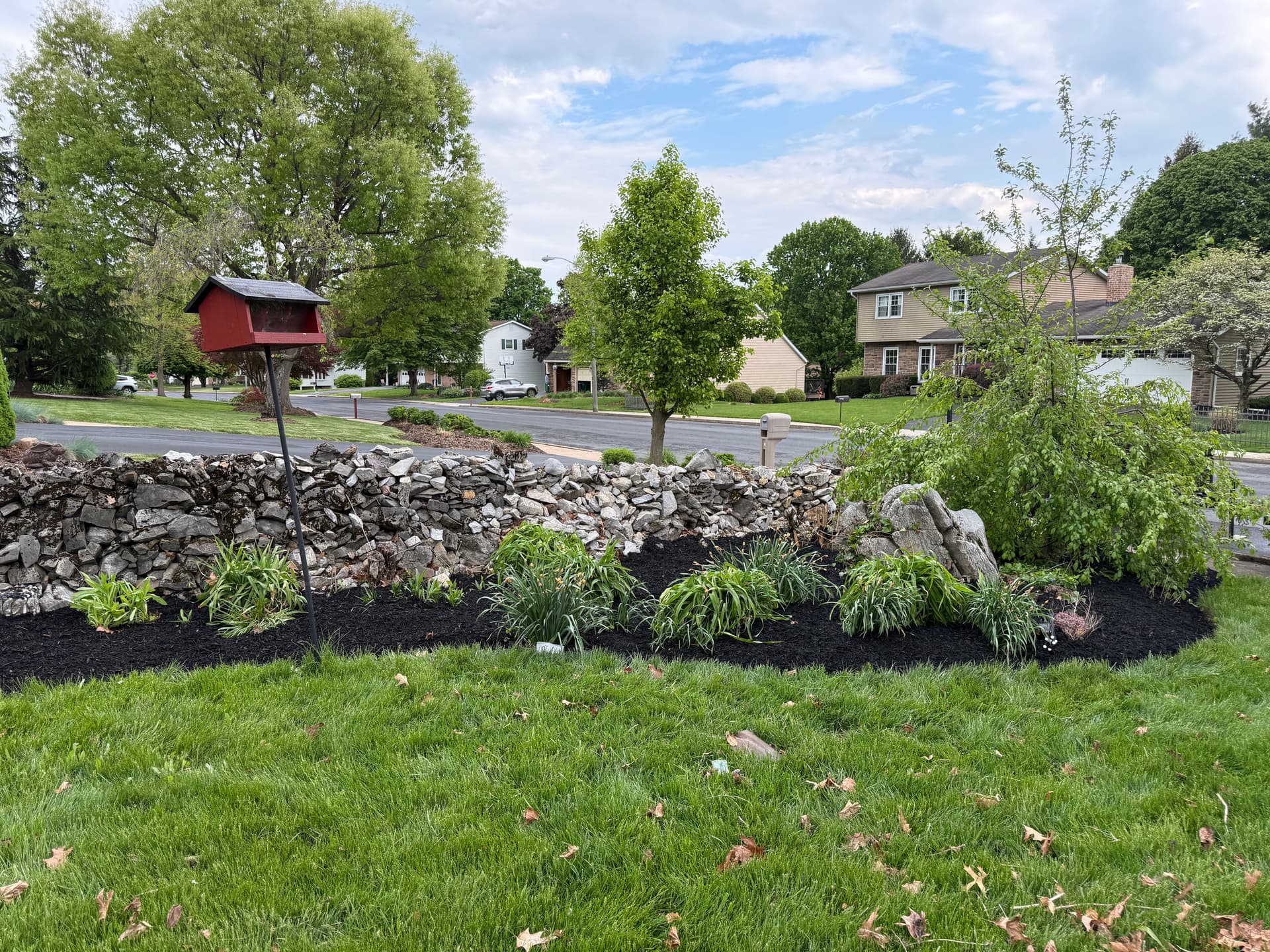 Gallery photos for Dark Mulch That Makes Your Whole Yard Pop: Image #7