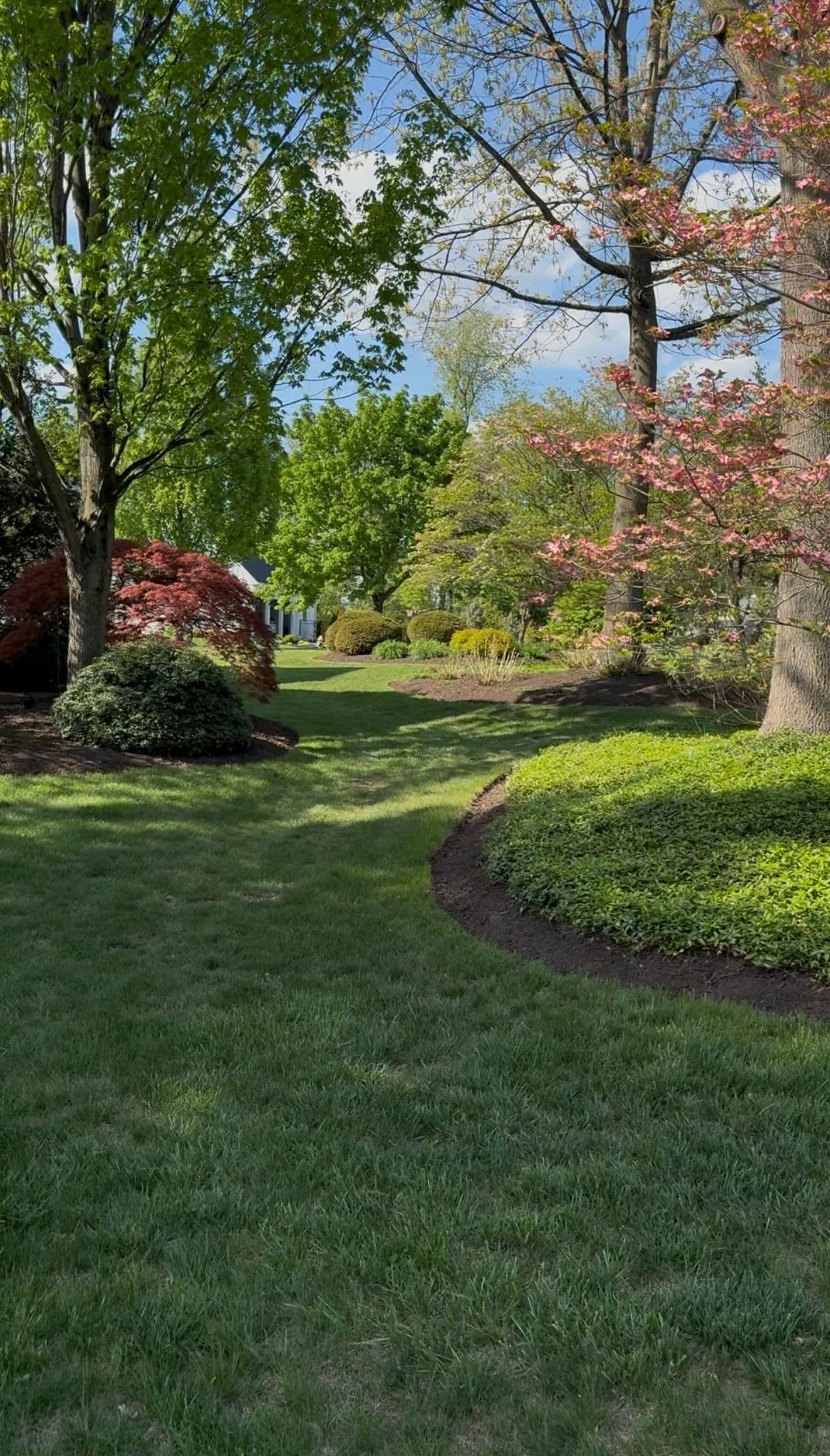 Gallery photos for Fresh Mulch and a Yard the Whole Neighborhood Will Notice: Image #1