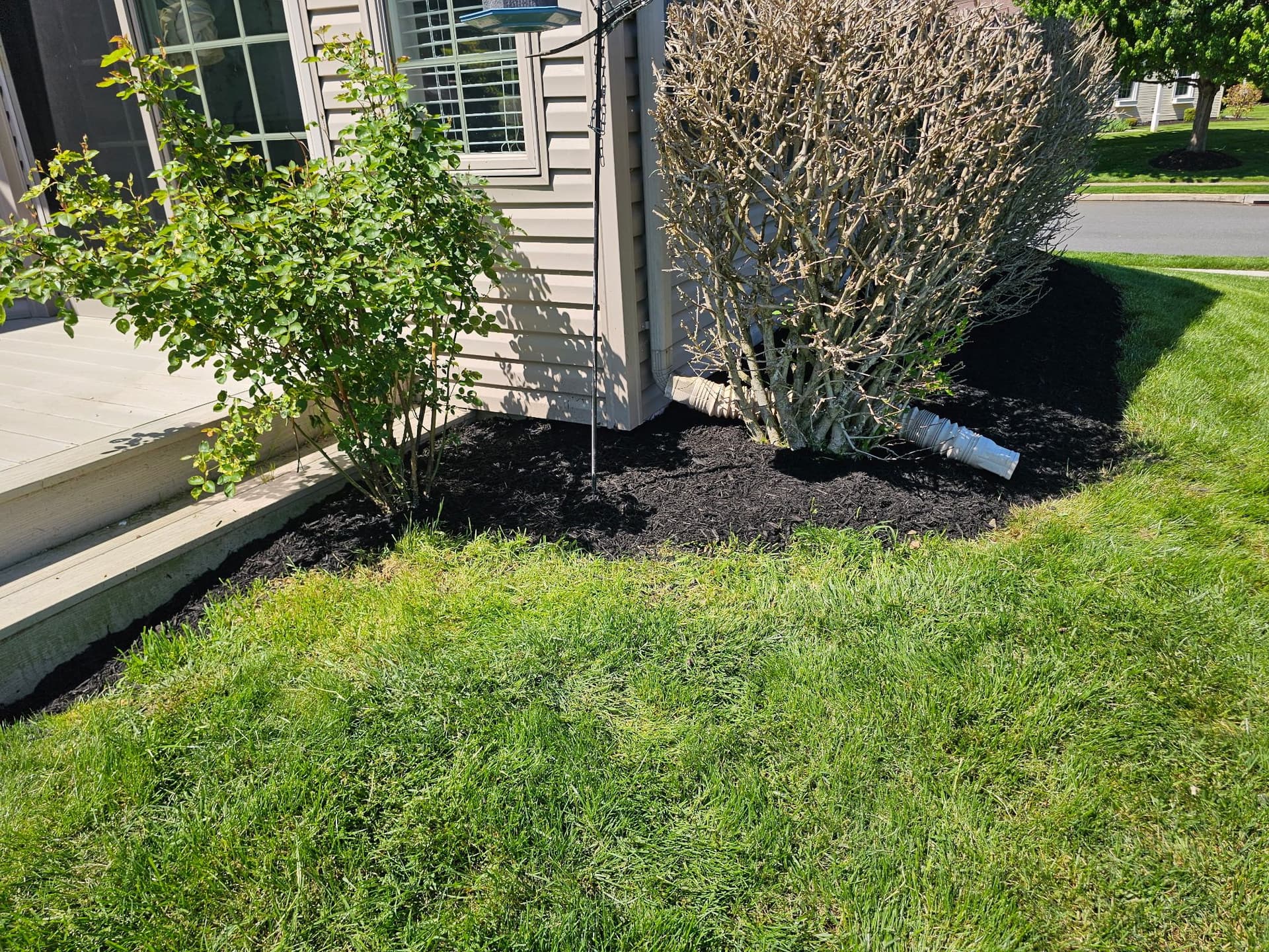 Gallery photos for Fresh Mulch, Clean Edges, Zero Weeds Left Behind: Image #3