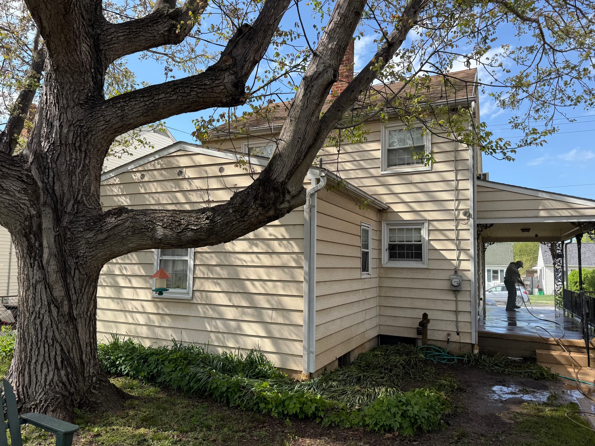 Gallery photos for Why Soft Wash vs Power Wash Actually Matters for Your Home: Image #4