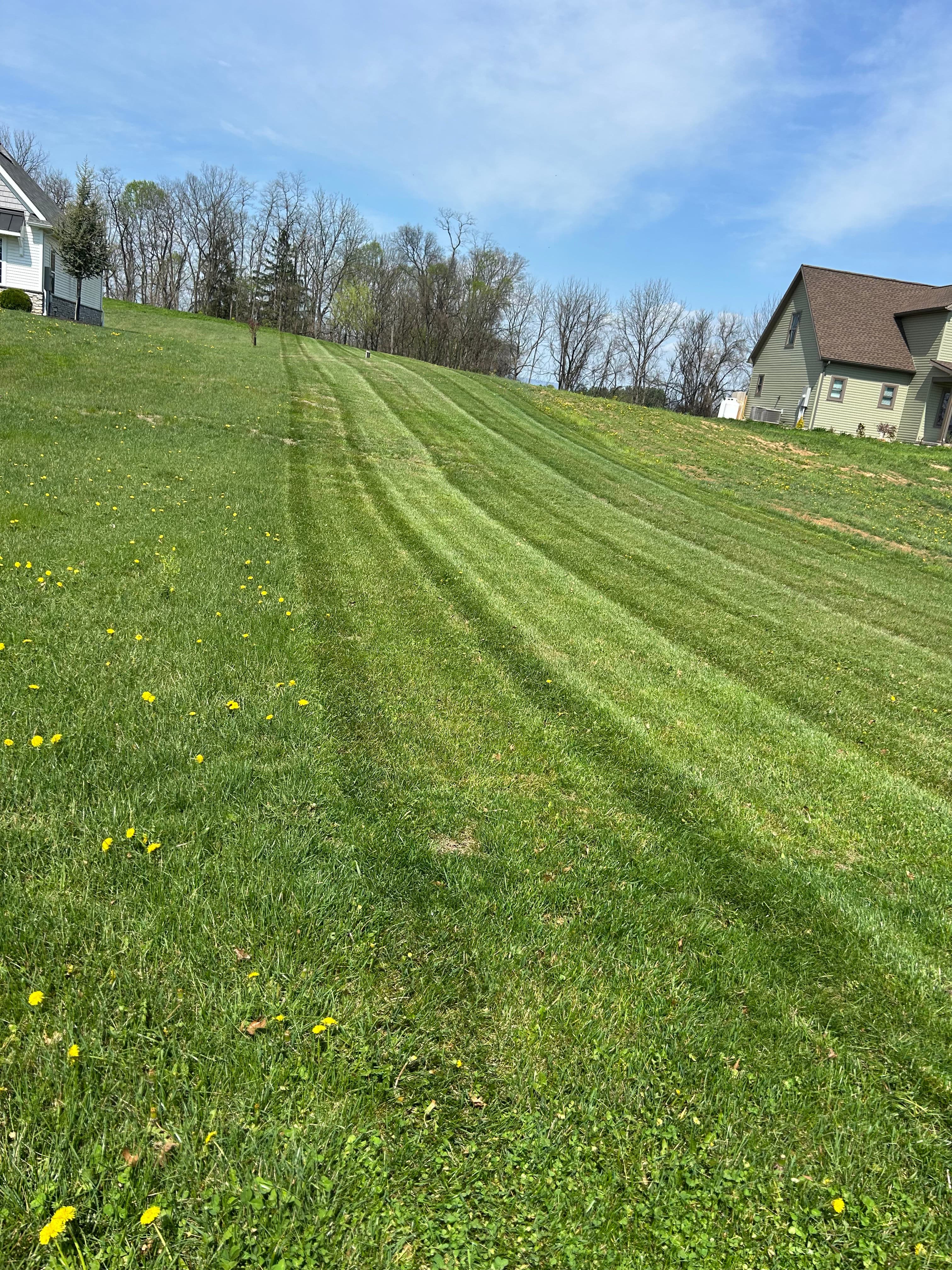 Project Ace of Blades Is Now Accepting New Mow Clients image