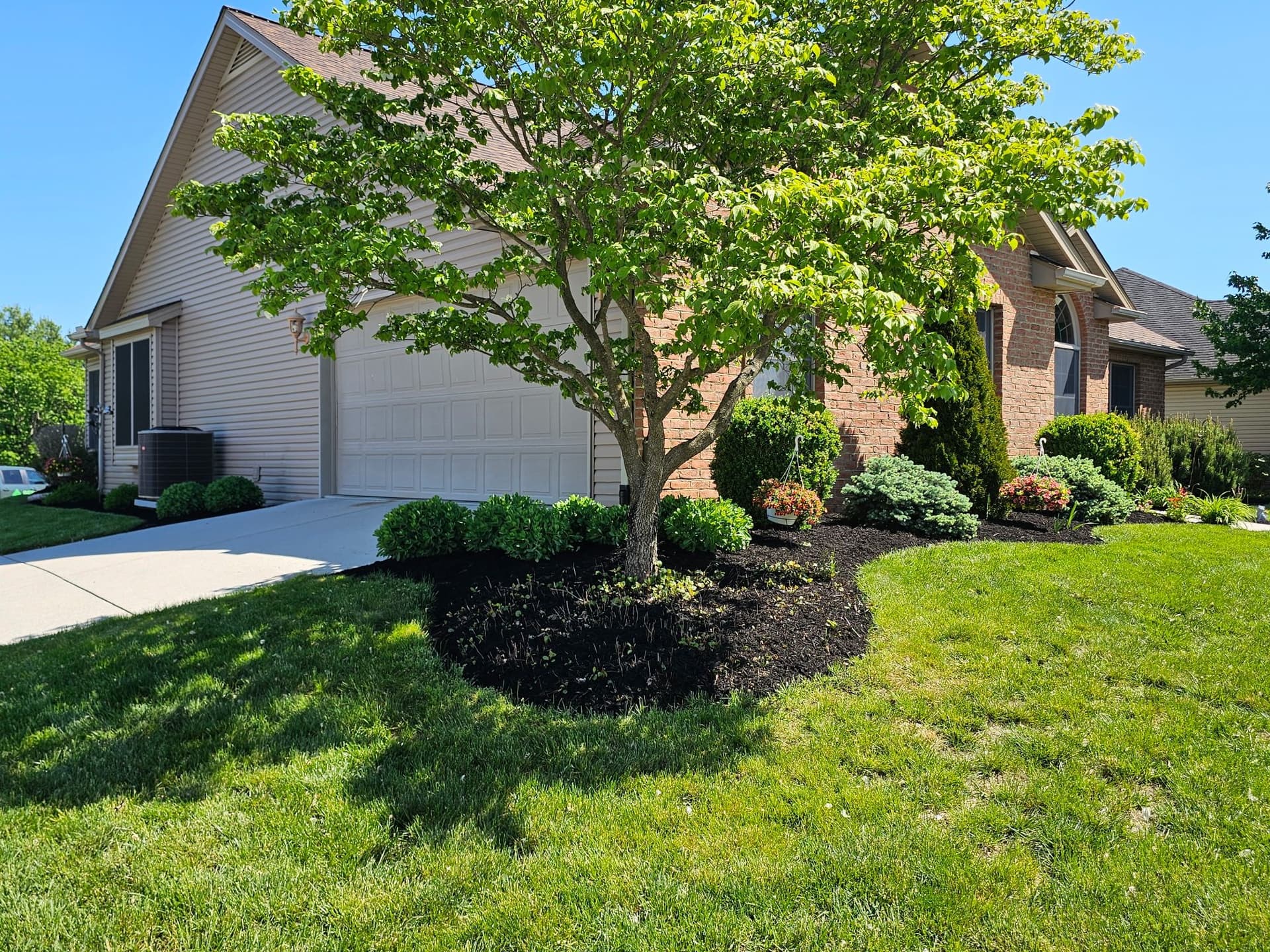 Fresh Mulch, Clean Edges, Zero Weeds Left Behind image