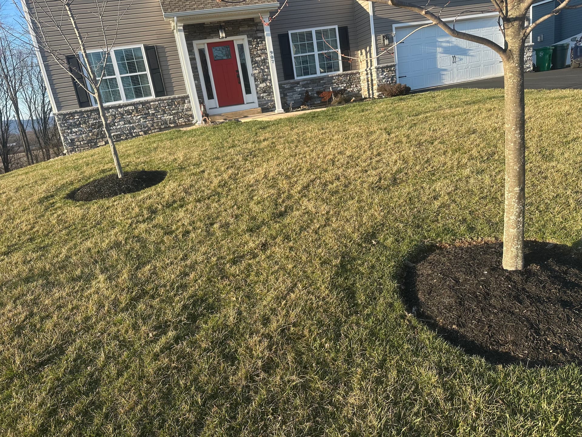 Gallery photos for Mulching and Hardscaping Excellence in Backyard Spaces: Image #3