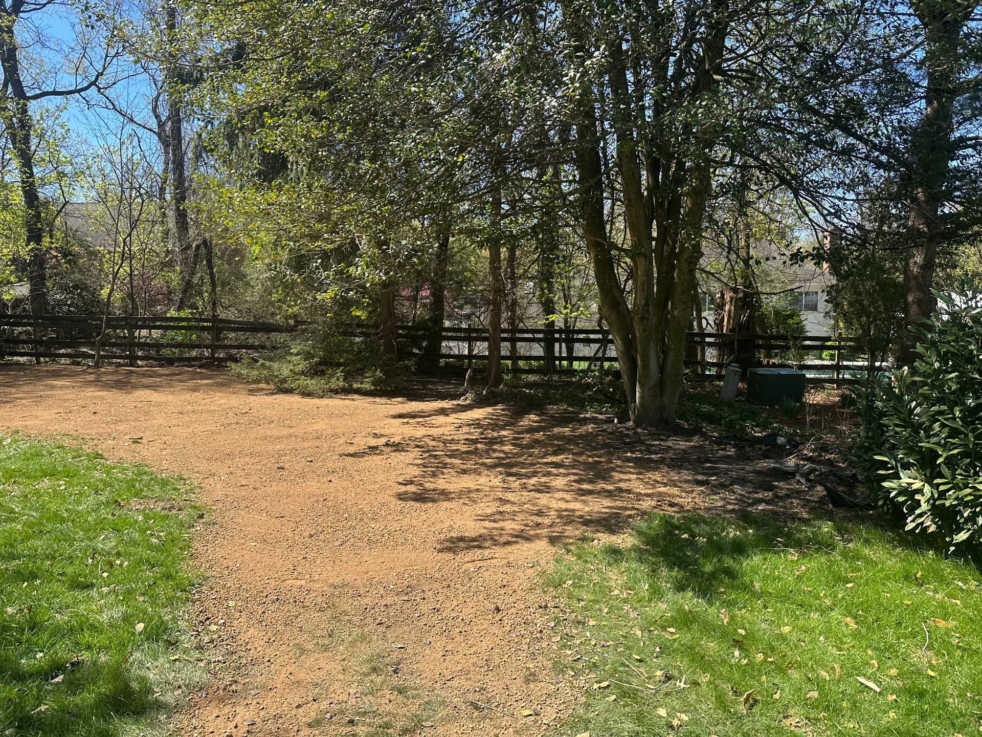 Gallery photos for Neglected Backyard Cleared, Leveled and Ready to Use: Image #4