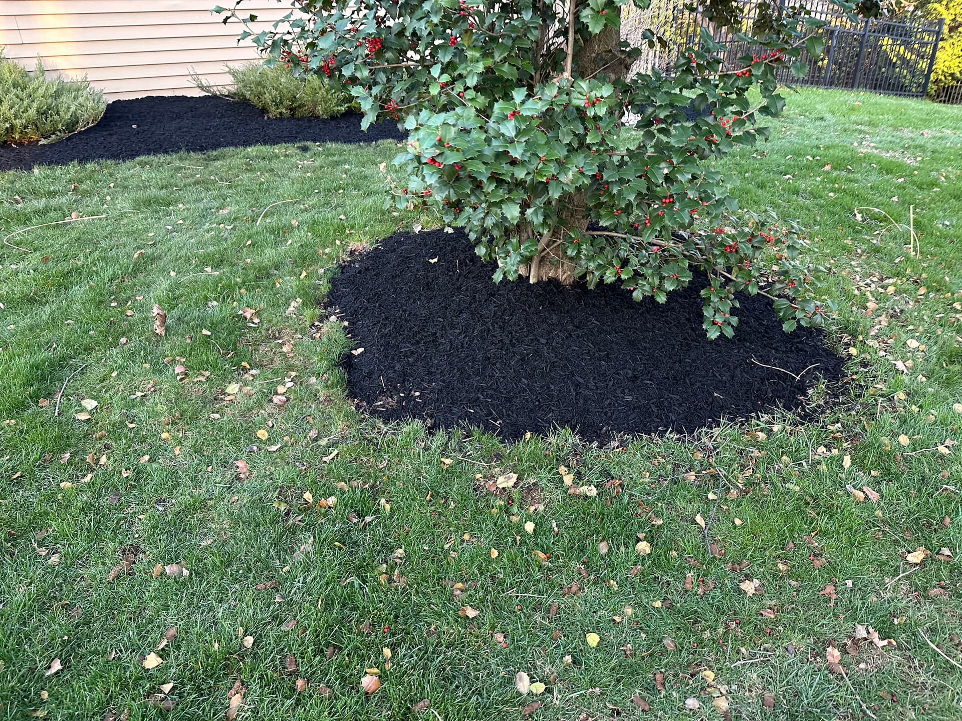 Gallery photos for Boost Your Backyard Appeal with Black Mulch and River Rock: Image #2