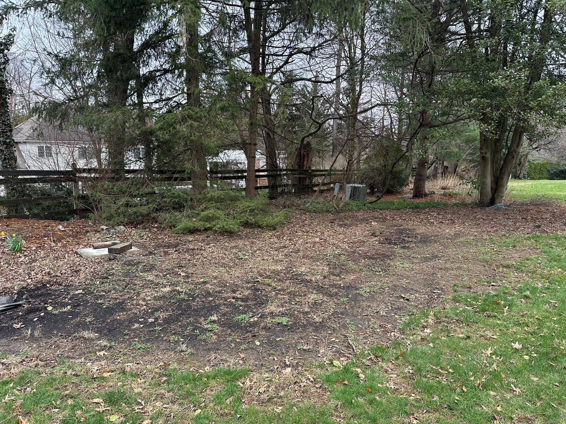 Gallery photos for Neglected Backyard Cleared, Leveled and Ready to Use: Image #3