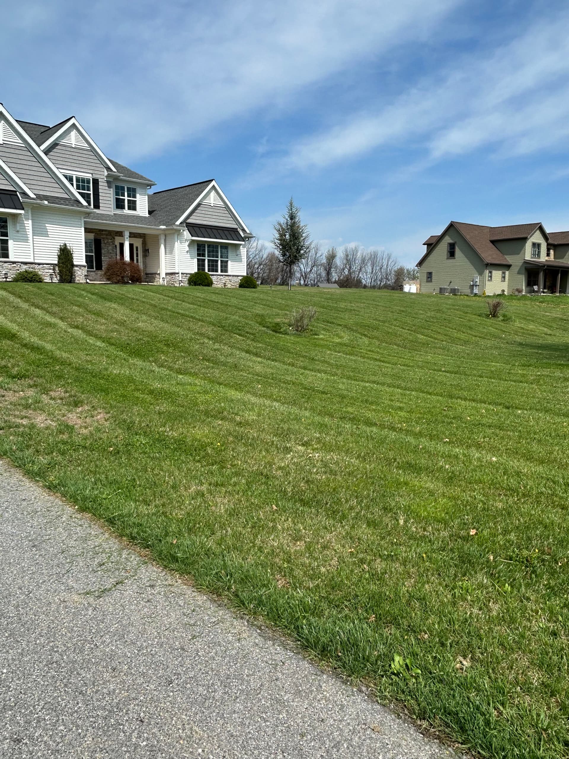 Gallery photos for Ace of Blades Is Now Accepting New Mow Clients: Image #1