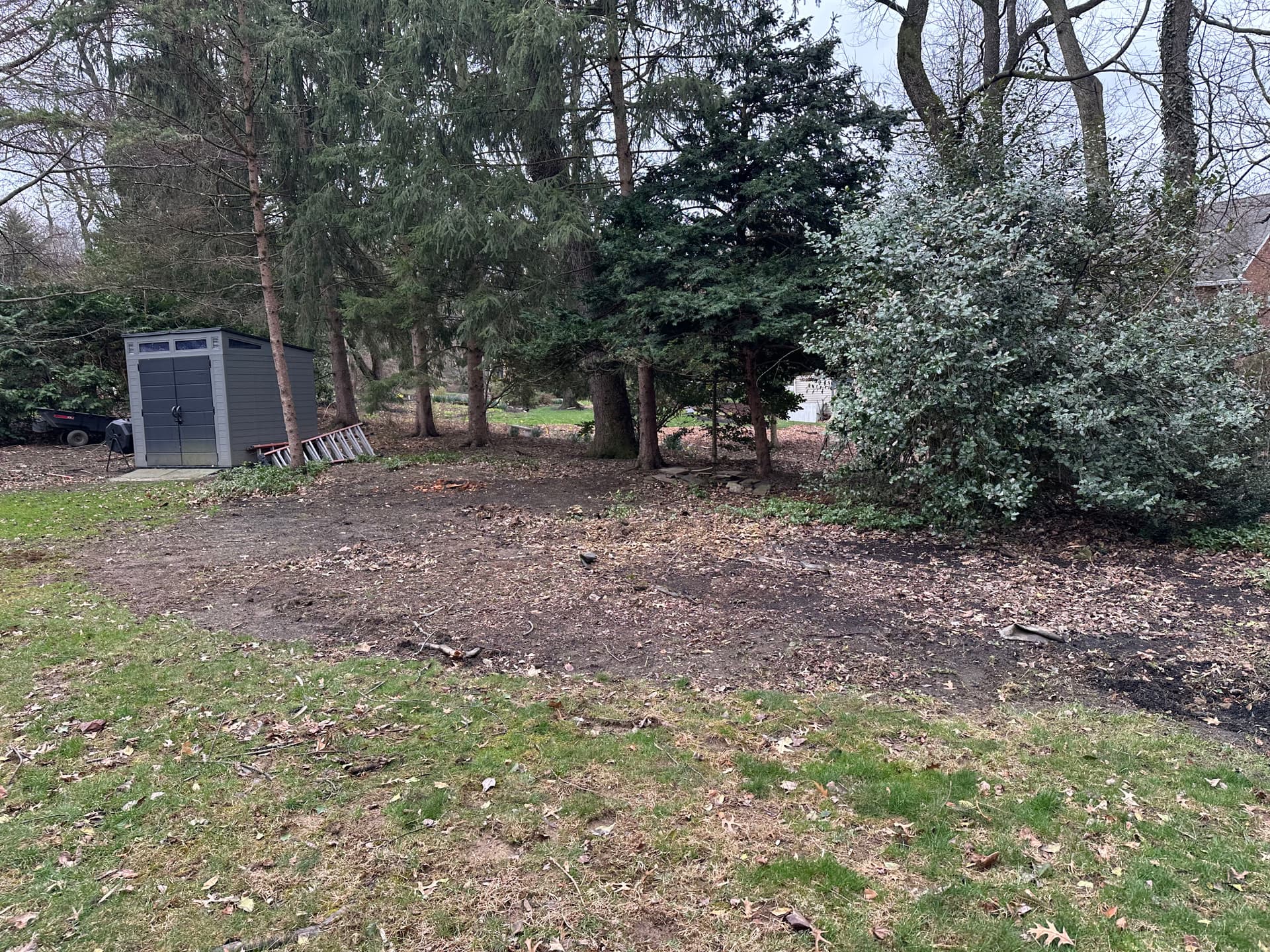 Neglected Backyard Cleared, Leveled and Ready to Use image