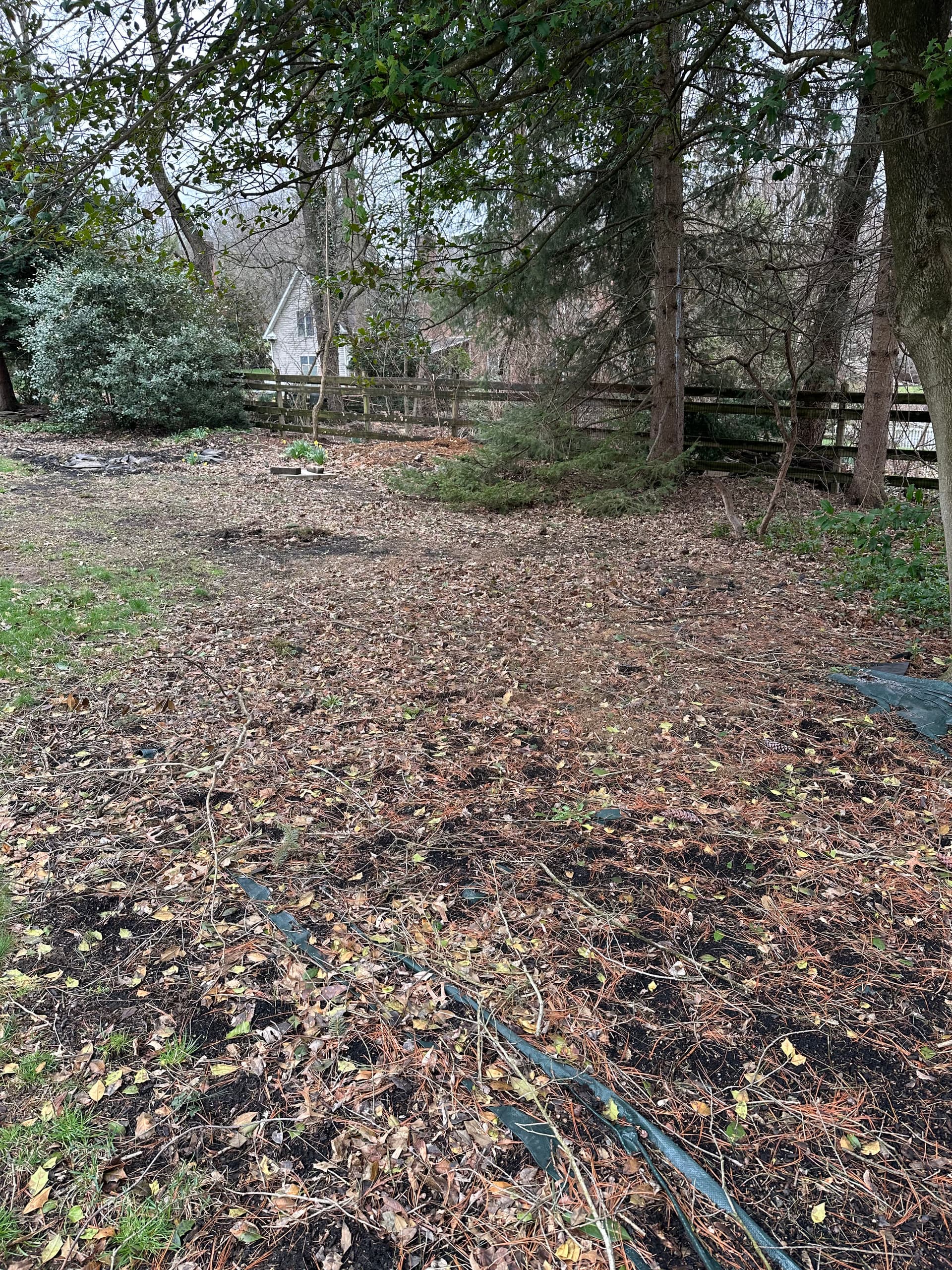 Gallery photos for Neglected Backyard Cleared, Leveled and Ready to Use: Image #2