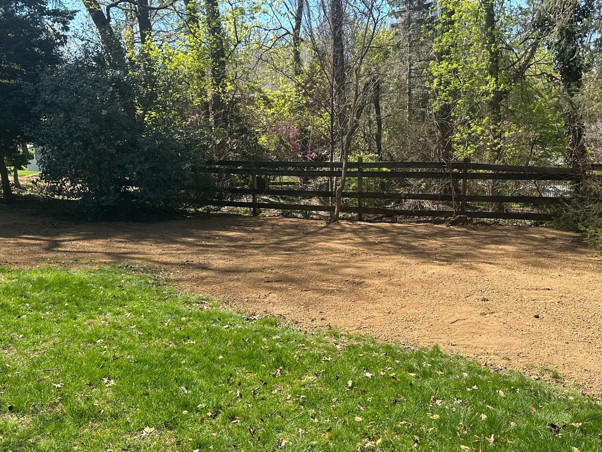 Gallery photos for Neglected Backyard Cleared, Leveled and Ready to Use: Image #6