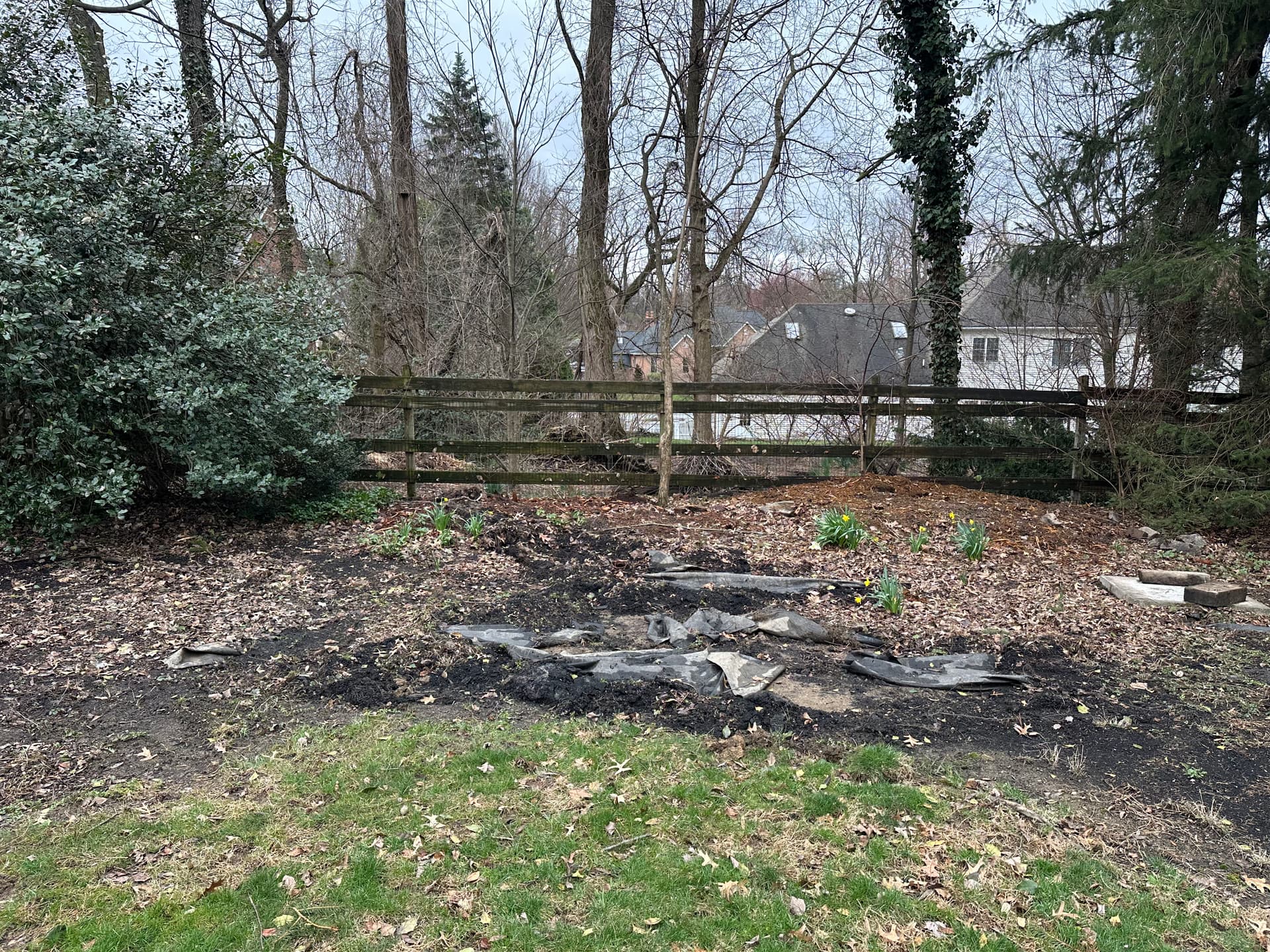 Gallery photos for Neglected Backyard Cleared, Leveled and Ready to Use: Image #1