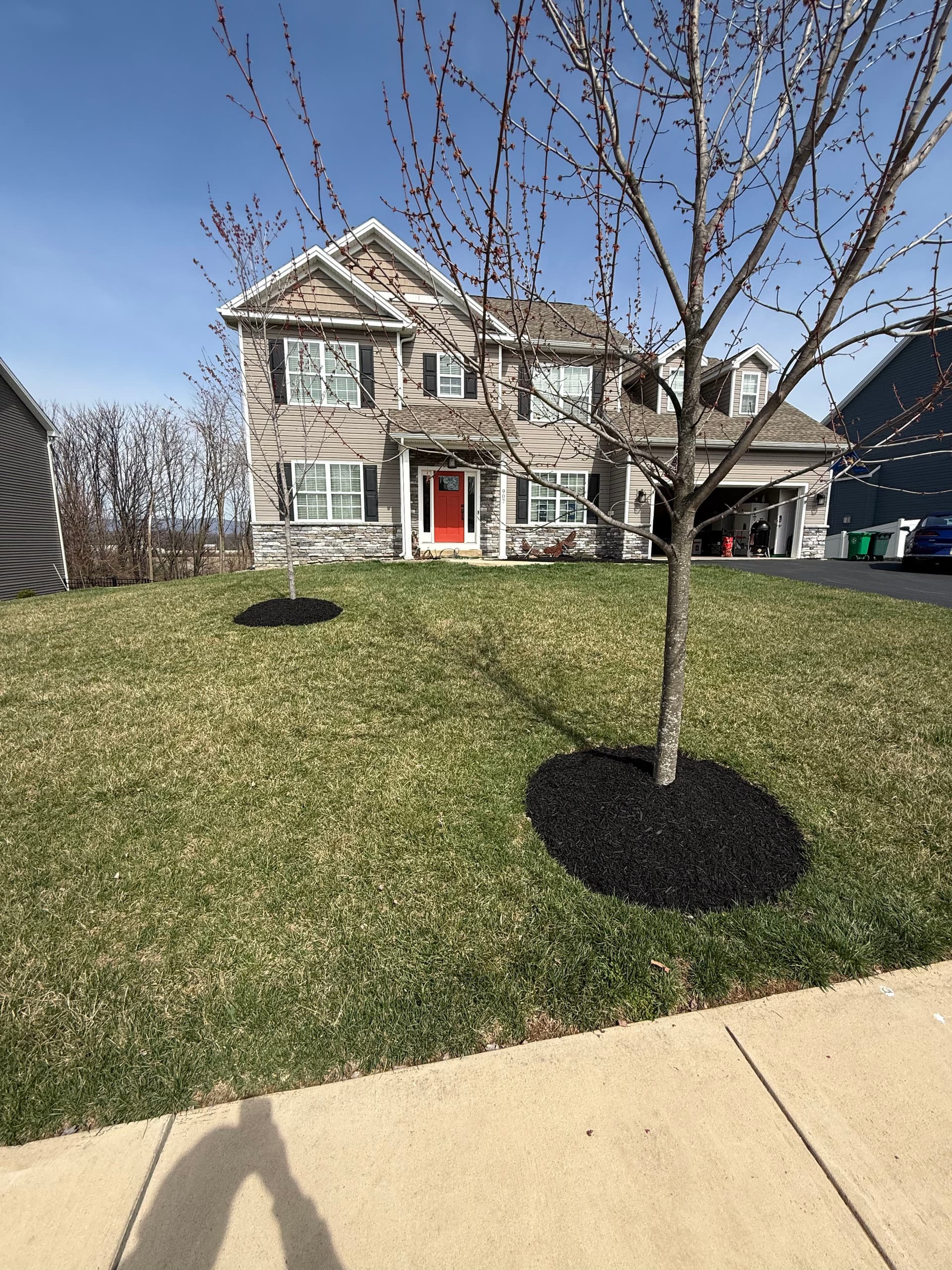 Gallery photos for Mulching and Hardscaping Excellence in Backyard Spaces: Image #4